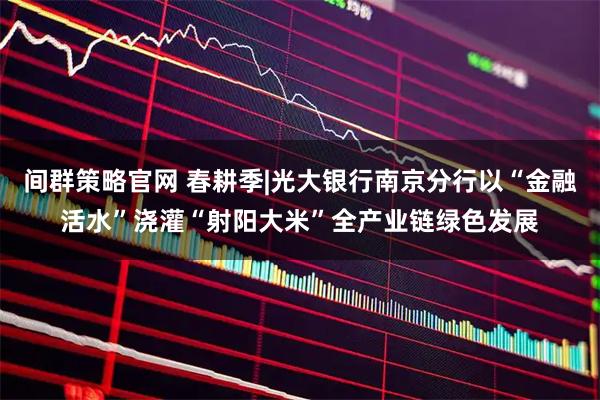 间群策略官网 春耕季|光大银行南京分行以“金融活水”浇灌“射阳大米”全产业链绿色发展